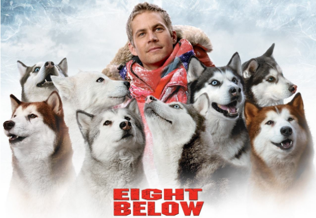 详细介绍：这部电影的主角聚集在八条雪橇犬身上，讲述了在冰天雪地的南极，雪橇犬不畏残酷的大自然，克服种种考验，最终与主人重逢。