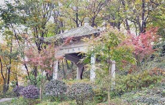 南京免费又好玩的景点 两大公园上榜，南京眼必去