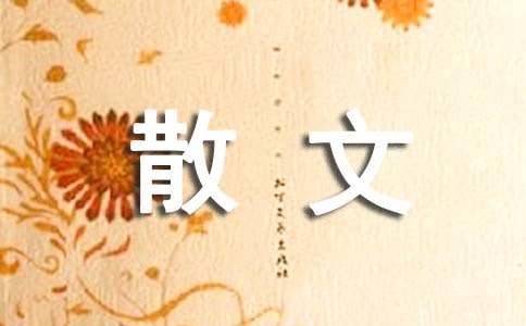 生活散文随笔15篇