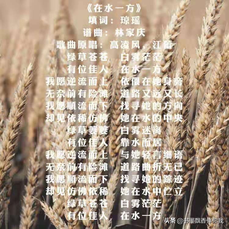 蒹葭拼音版及原文翻译（蒹葭拼音版诗文赏析及释义）