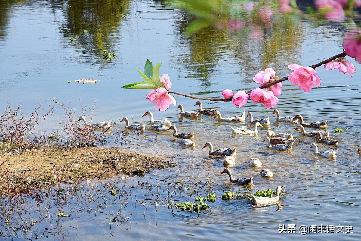 关于春天的宋词有哪些（赞美春天的宋词）