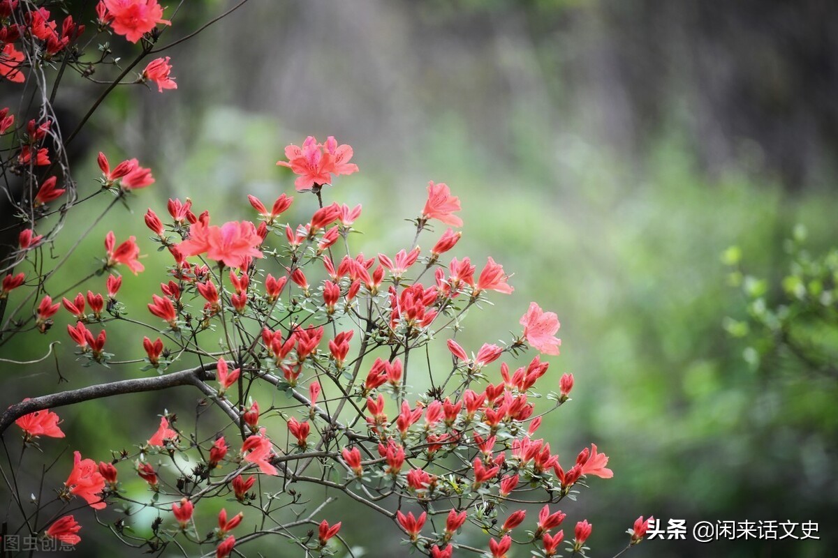 关于春天的宋词有哪些（赞美春天的宋词）