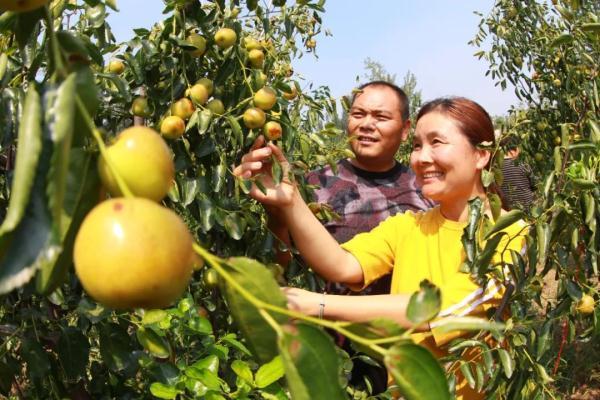 白露节气的含义是什么意思（白露节气含义及典故详解）