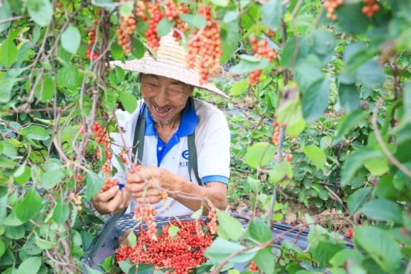 白露节气的含义是什么意思（白露节气含义及典故详解）