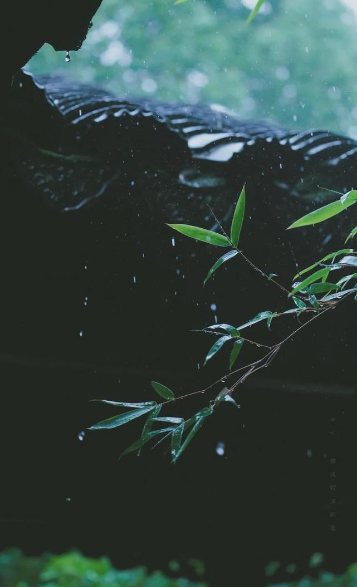 形容雨大的成语句子有哪些（描写风雨大的好词好句）