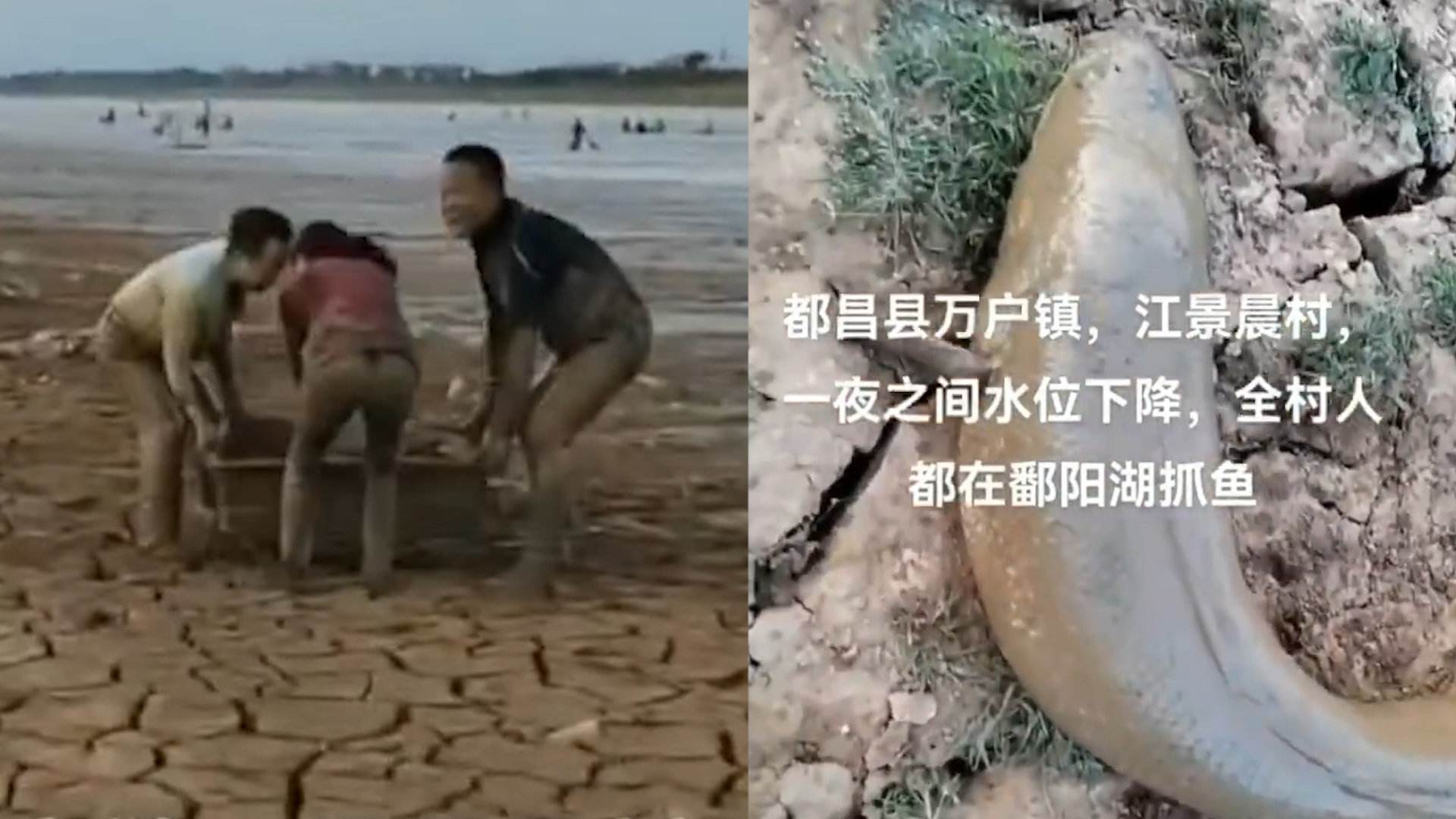 「鄱阳湖水位持续回升」鄱阳湖为何如此干旱？