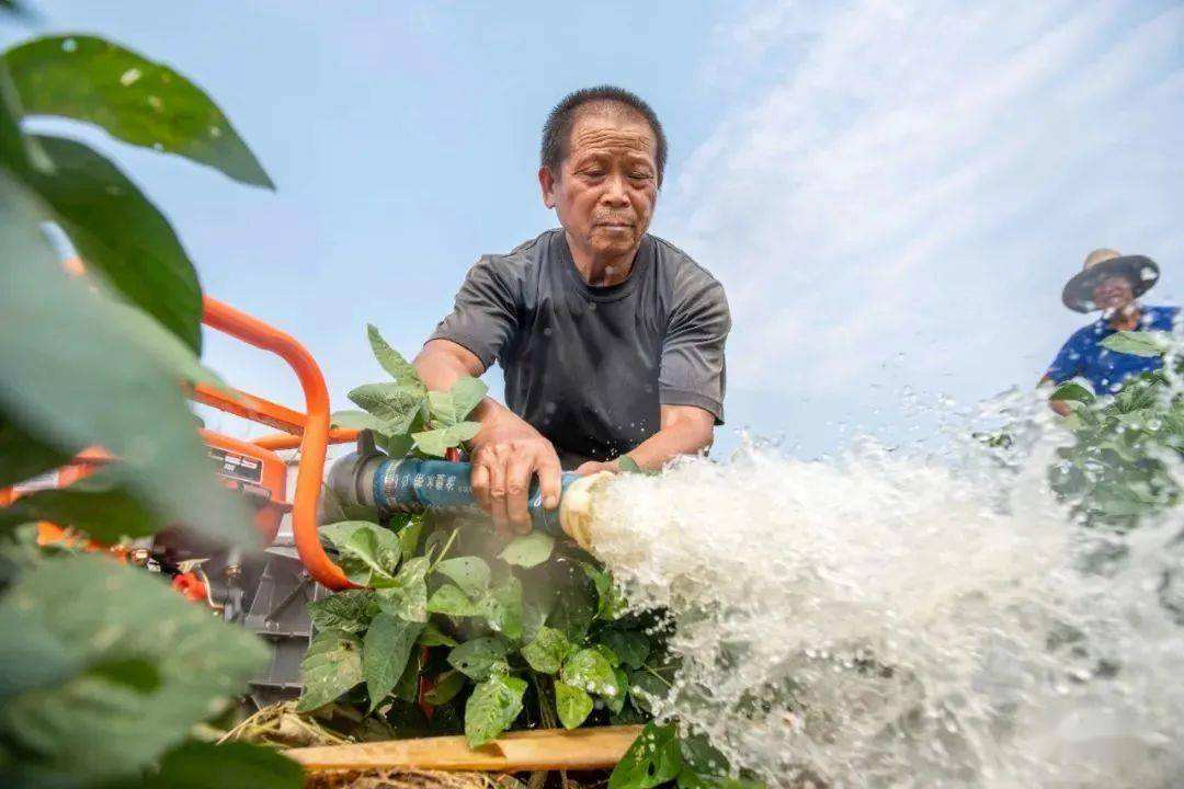 「鄱阳湖水位持续回升」鄱阳湖为何如此干旱？